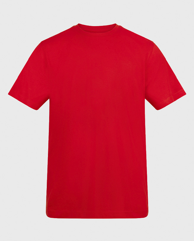 Classic Cotton T-Shirt Alternate View