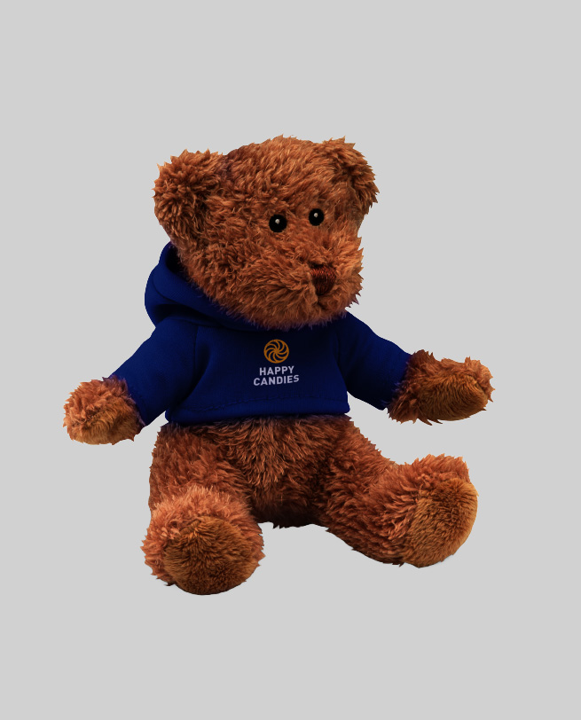 Teddy Bear with Hooded Sweater